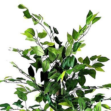 Sonoma Goods For Life® 6-ft. Ficus Artificial Tree