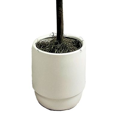 Sonoma Goods For Life® 6-ft. Ficus Artificial Tree