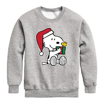 Boys 8-20 Peanuts Christmas Gift Fleece