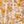 Ivory Yellow Peach