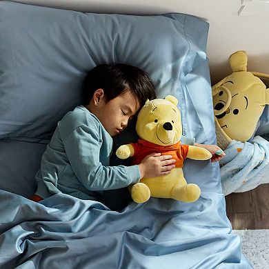 Disney's Winnie The Pooh Buddy & Throw Set by The Big One Kids???
