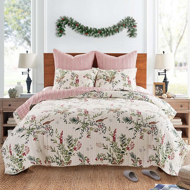 Kohls quilts hot sale and shams