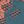 Coral Teal