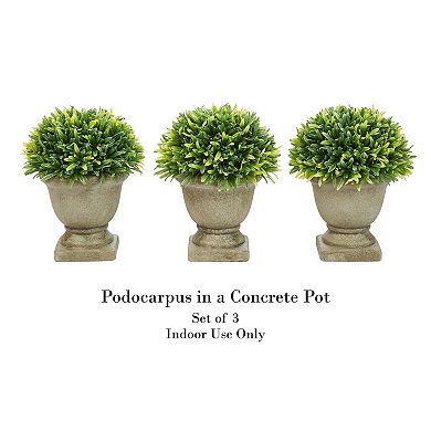 Pure Garden Artificial Podocarpus Plant Table Decor 3-piece Set