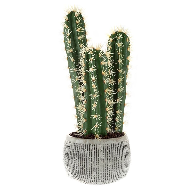 Pure Garden 22-in. Potted Cactus Artificial Plant Home Decor, Green