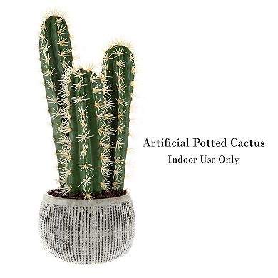 Pure Garden 22-in. Potted Cactus Artificial Plant Home Decor