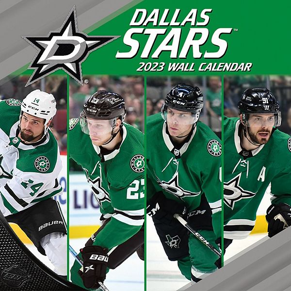The Season Begins - 2023-2024 Dallas Stars 