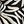 Black Botanic Zebra