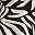 Black Botanic Zebra
