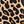Tan Wild Cheetah