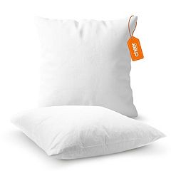 Serta Feather Euro Square Pillow 2 Pack