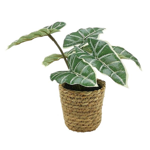 Sonoma Goods For Life® Mini Tropical Artificial Plant Table Decor