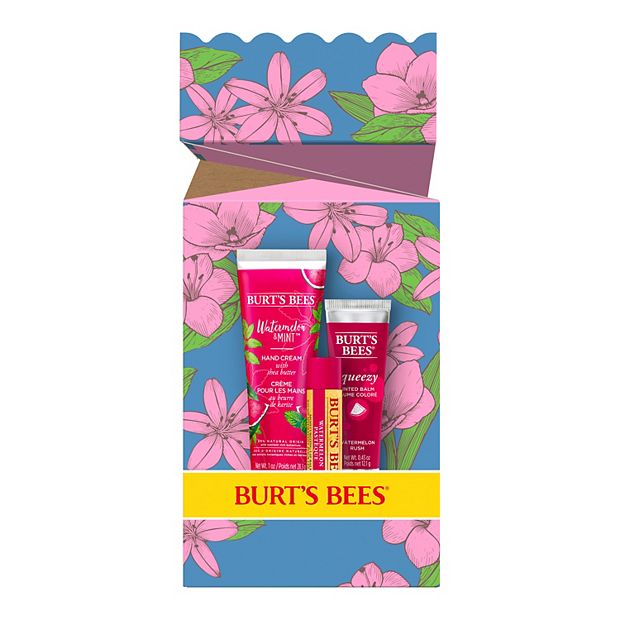 Burt's Bees Tinted Lip Balm Set | asoundsunlimited.com