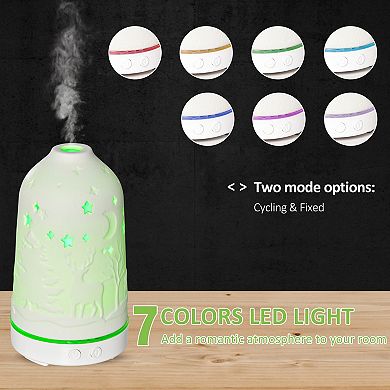 HOMCOM 100ml Humidifier Essential Oil Diffuser w/ 7 LED Lights, 2 Mist Modes