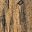 Rustic Brown