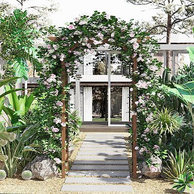 buy monstera deliciosa plant nyc Monstera Deliciosa Medusa 6 Exact Plant  Rare Foliage Plant Co