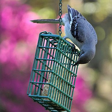 MEKKAPRO Suet Wild Bird Feeder with Hanging Metal Roof, Two Suet Capacity, Bird Feed Recommended (Single)