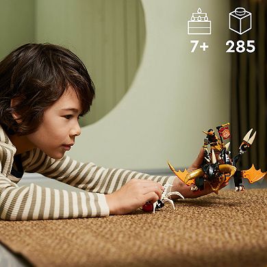 LEGO NINJAGO Cole’s Earth Dragon EVO 71782 Building Toy Set