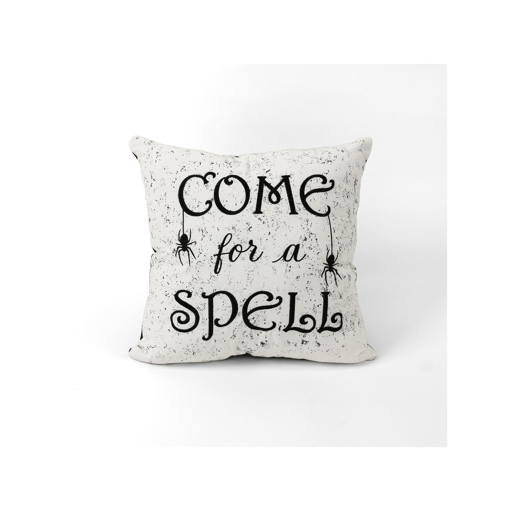 Lush Decor Come For A Spell Decorative Pillow, White