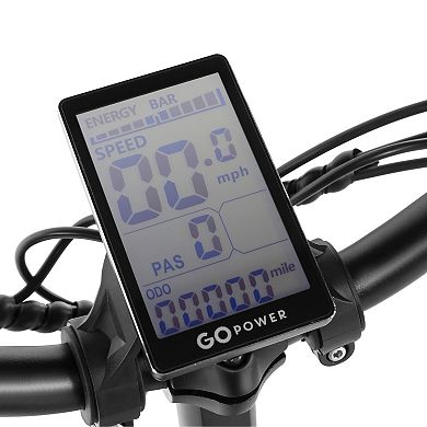 Gopowerbike GoExpress Fat Tire Foldable Electric Bike