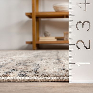 nuLoom Transitional Moroccan Hattie Area Rug