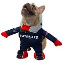 Shop Pets' NFL
