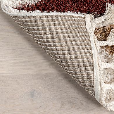 nuLoom Kali Shaggy Diamond Tassel Area Rug