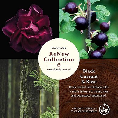 WoodWick® ReNew Black Currant & Rose Medium Jar Candle