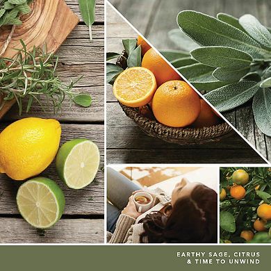 Yankee Candle Studio Collection Sage & Citrus 10-oz. Candle Jar