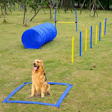 PawHut 4PC Obstacle Dog Agility Training Course Kit Backyard Competitive Equipment Blue/Yellow