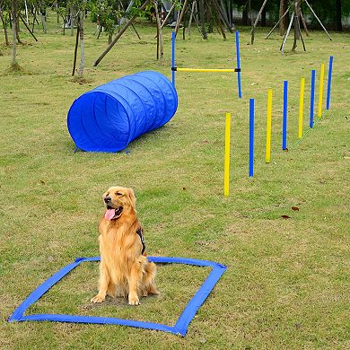 PawHut 4PC Obstacle Dog Agility Training Course Kit Backyard Competitive Equipment  Blue/Yellow