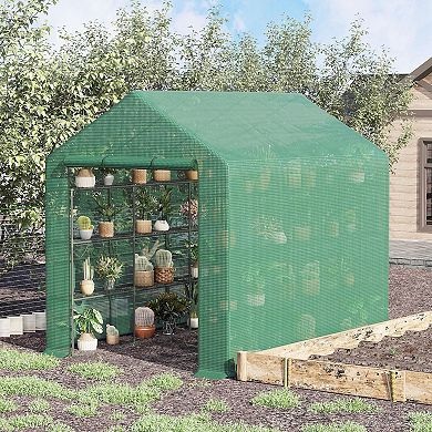 Greenhouse 8' X 6' X 7', Walkin Hot House, 18 Shelves, Plant Tropical Flowers