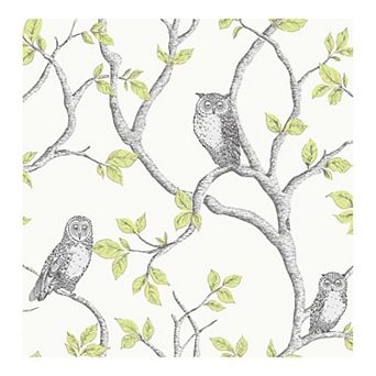 Brewster Home Fashions Linden Owl Wallpaper