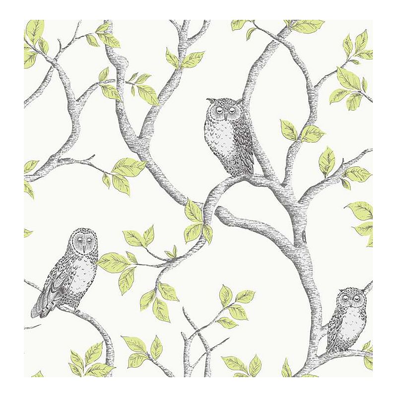 Brewster Home Fashions Linden Owl Wallpaper, Green
