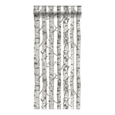 Brewster Home Fashions Merman Birch Tree Wallpaper