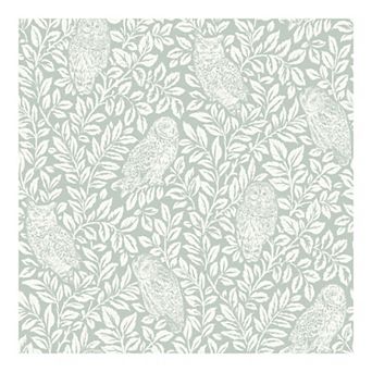 Brewster Home Fashions Parliament Owl Wallpaper