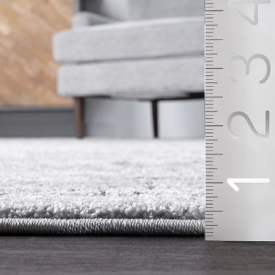 nuLoom Gena Distressed Transitional Medallion Area Rug