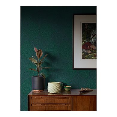 Brewster Home Fashions Bel Air Fan Wallpaper