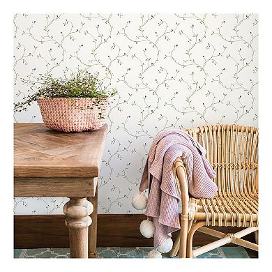 Brewster Home Fashions Star Flower Trail Pre-Pasted Wallpaper