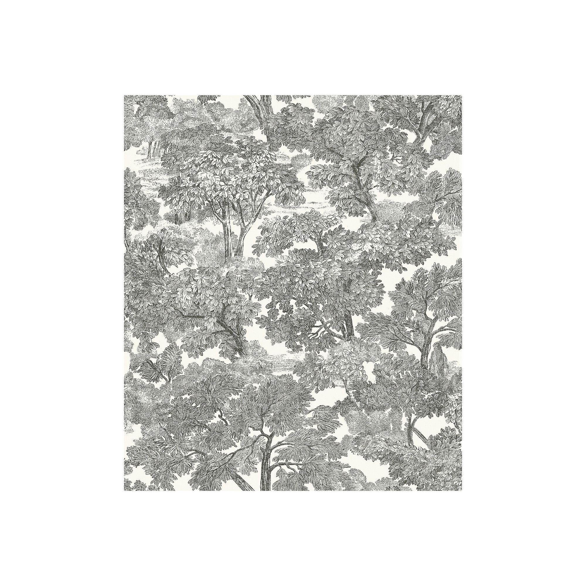 Brewster Home Fashions Treescape Pre-Pasted Wallpaper, Black