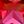 Created Ruby