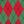 Argyle Red Green