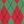 Argyle Red Green