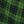 Plaid Black Green