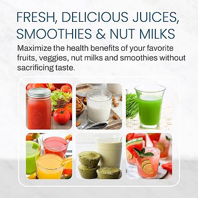 Elite Gourmet Compact Masticating Slow Juicer