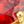 Yellow Gold Tone Red