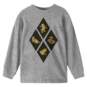 Boys 8-20 Harry Potter Hogwarts Houses Long-Sleeve Tee