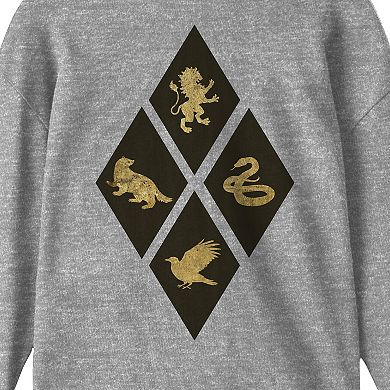 Boys 8-20 Harry Potter Hogwarts Houses Long-Sleeve Tee