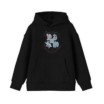 Boys 8-20 Harry Potter Classic Hoodie