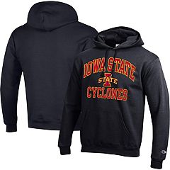 Champion iowa best sale state sweatshirt